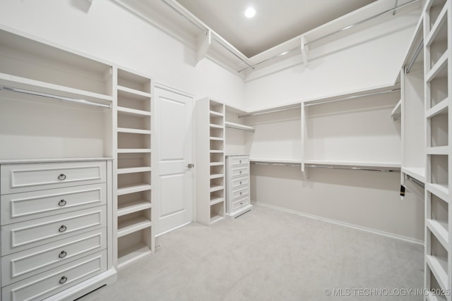 spacious closet with light colored carpet