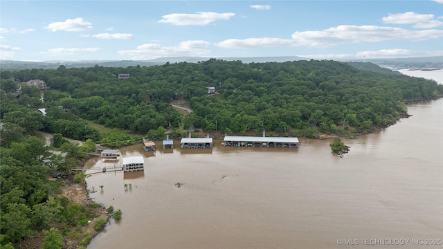 drone / aerial view featuring a water view and a wooded view