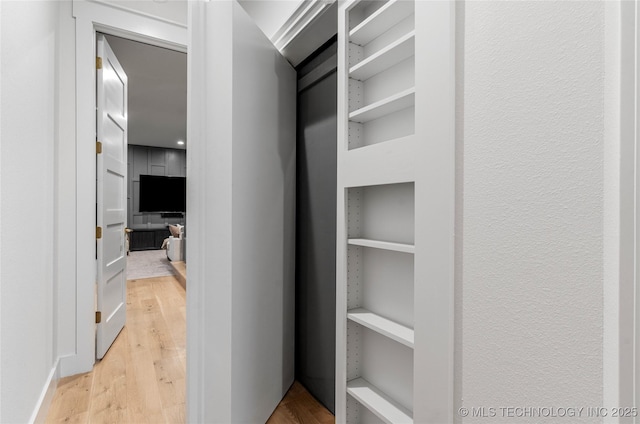 spacious closet with light wood-type flooring