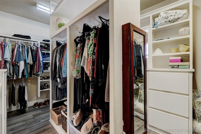 spacious closet with wood finished floors