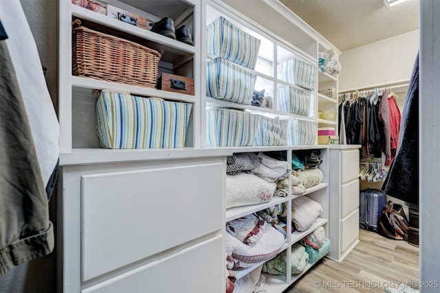 walk in closet featuring wood finished floors