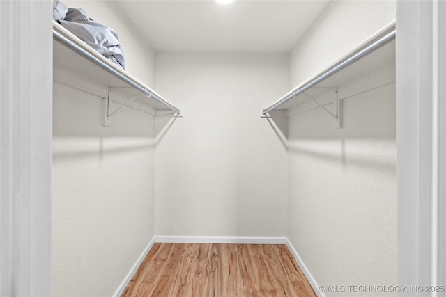 spacious closet featuring wood finished floors