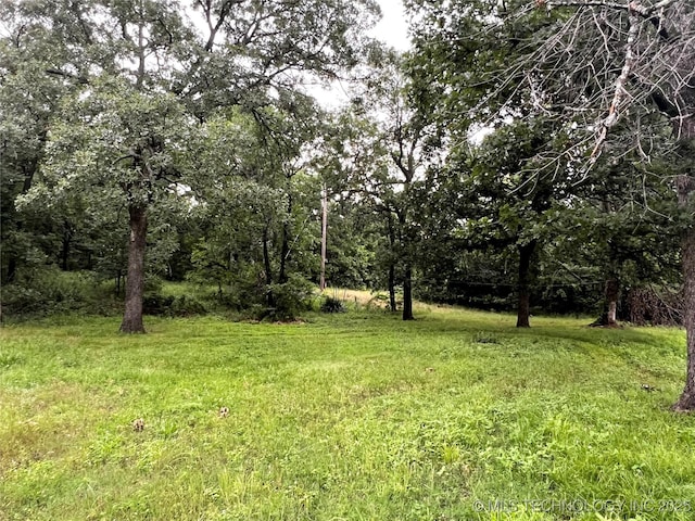 16306 N Javine Hill Rd, Skiatook, OK 74070 - view of yard