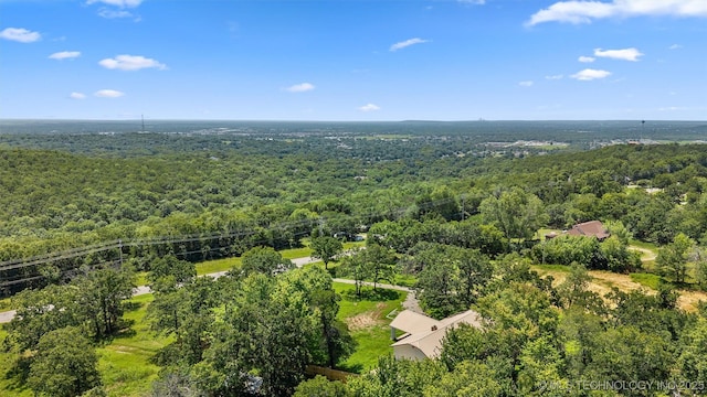 16306 N Javine Hill Rd, Skiatook, OK 74070 - bird's eye view of a forest