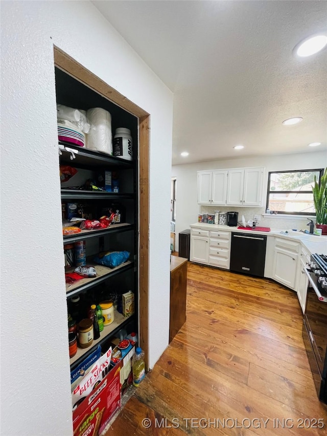 pantry featuring a sink