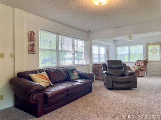 living room featuring carpet floors and a textured ceiling