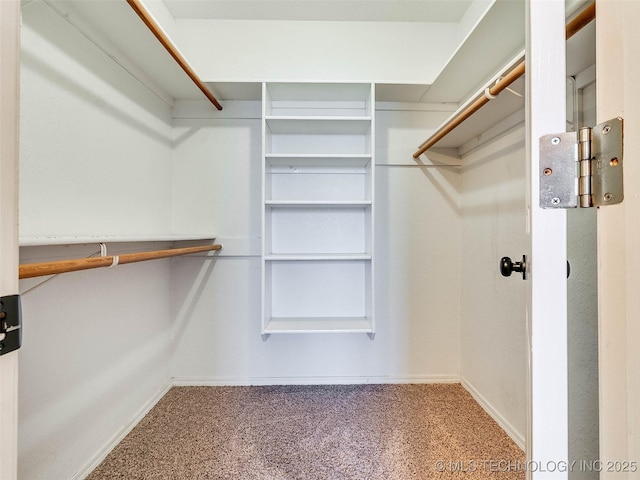 walk in closet with carpet flooring