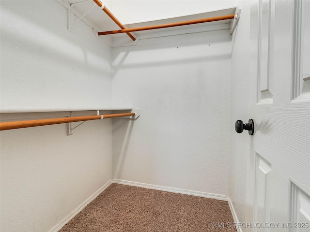 walk in closet featuring carpet flooring