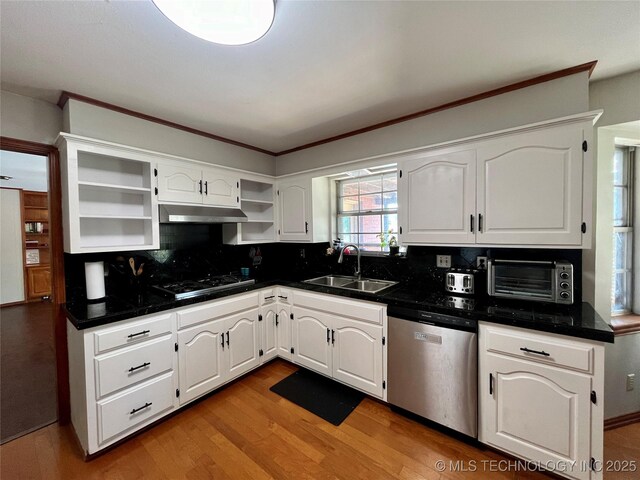 kitchen featuring open shelves, decorative backsplash, appliances with stainless steel finishes, a sink, and under cabinet range hood