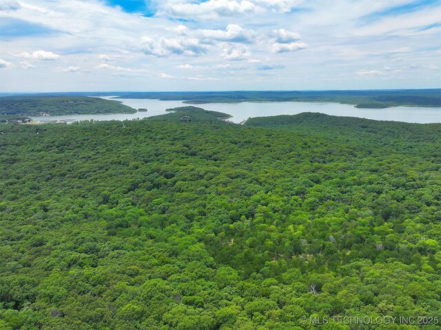 birds eye view of property with a water view and a view of trees