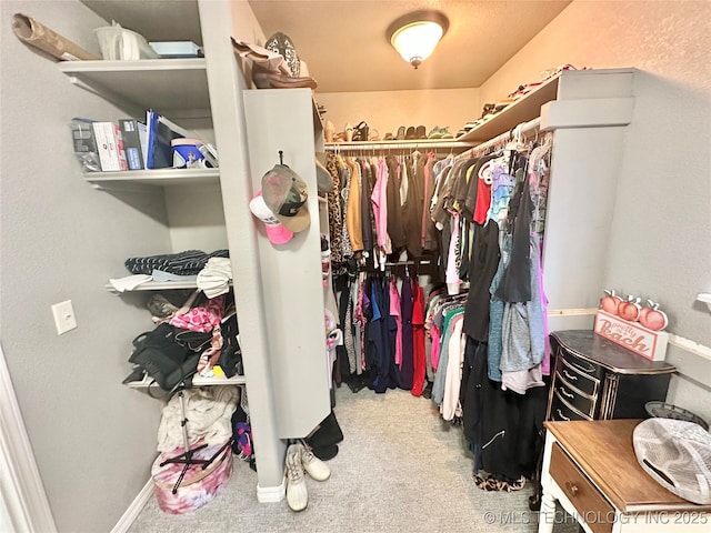 spacious closet featuring carpet flooring