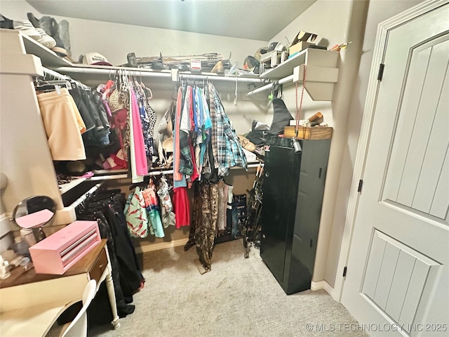 spacious closet featuring carpet floors