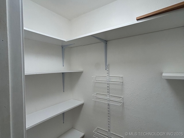 view of spacious closet