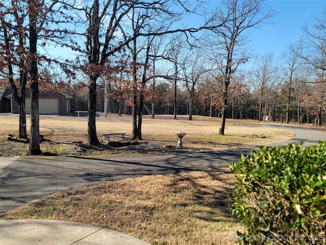 view of yard featuring a garage