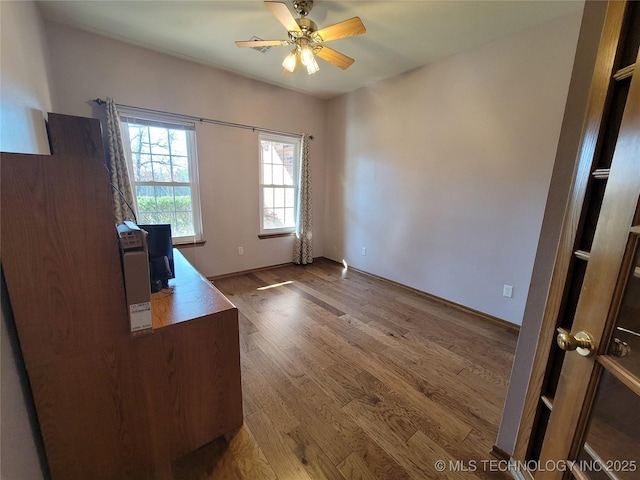 unfurnished office featuring wood finished floors and a ceiling fan