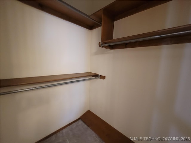 spacious closet with carpet floors