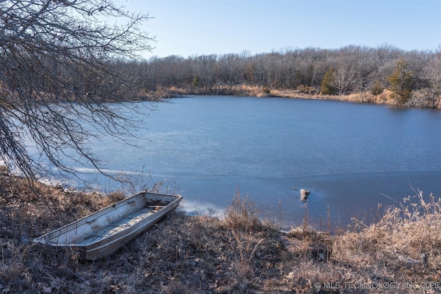 water view featuring a wooded view