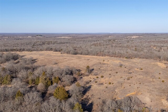 drone / aerial view featuring a rural view