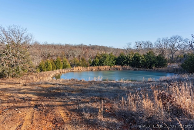 property view of water with a forest view