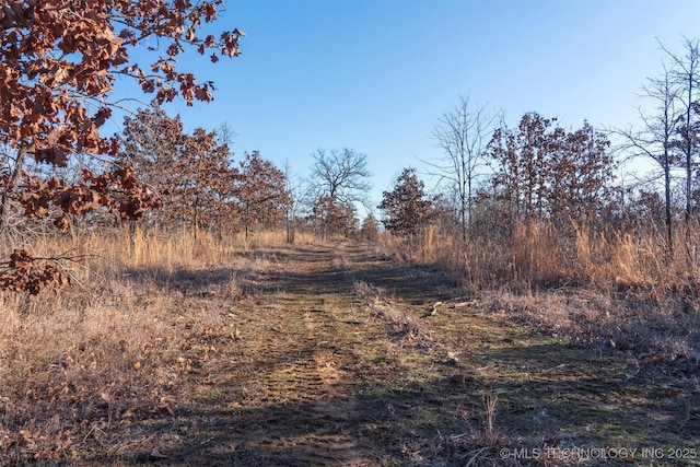 view of local wilderness