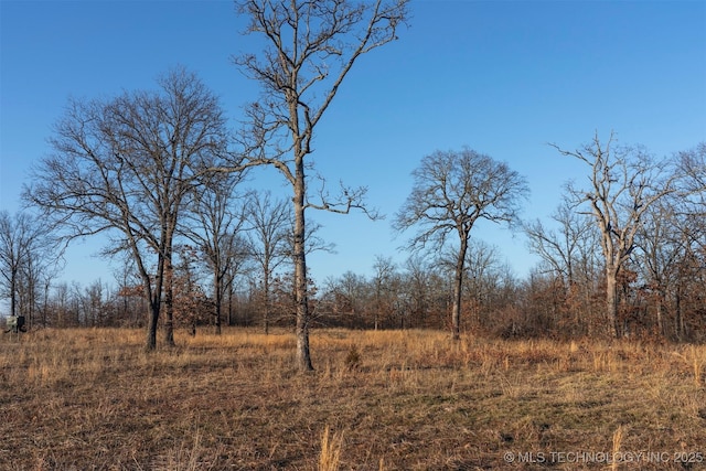 view of local wilderness