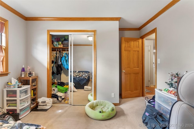 carpeted bedroom featuring crown molding and a closet