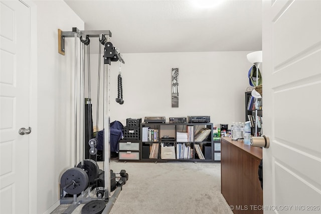 exercise room featuring carpet