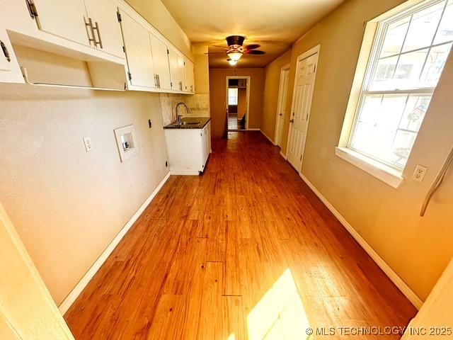 hall with wood finished floors, plenty of natural light, a sink, and baseboards