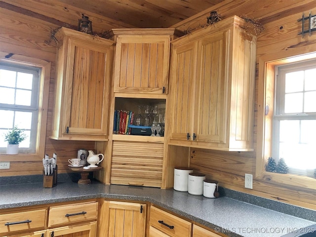 kitchen with dark countertops, a healthy amount of sunlight, and wooden walls