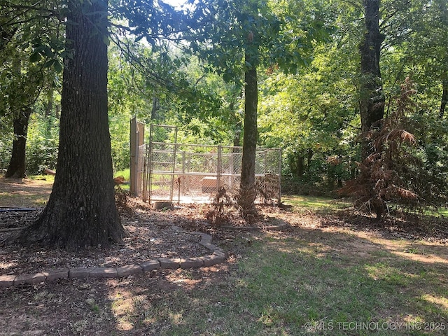 view of local wilderness with a view of trees