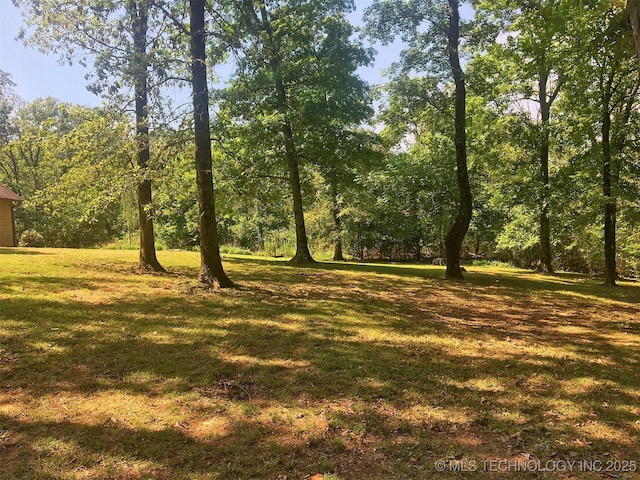 view of yard featuring a forest view