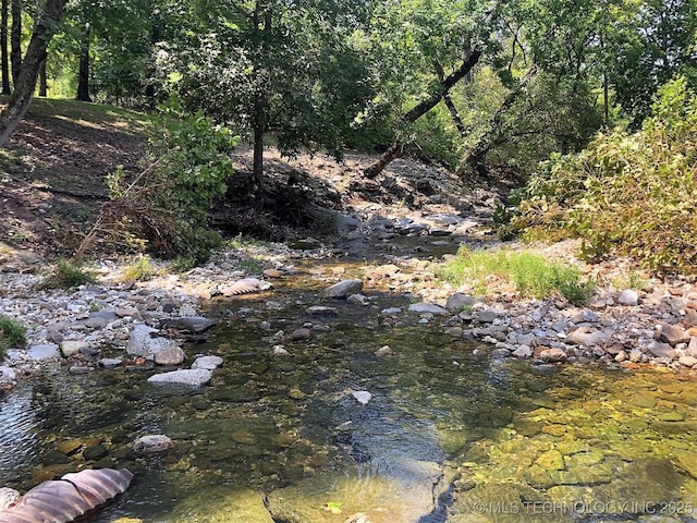 view of local wilderness featuring a view of trees