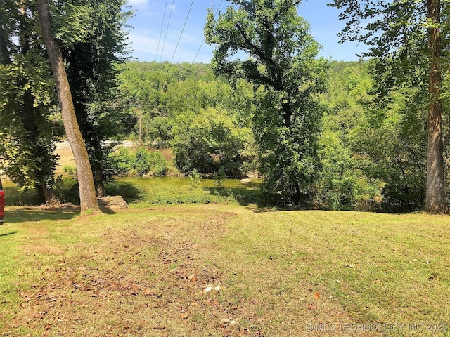 view of yard with a wooded view