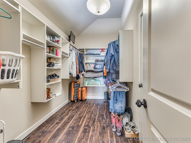 walk in closet featuring lofted ceiling and wood finished floors