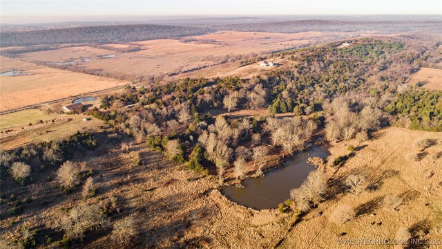 drone / aerial view featuring a rural view