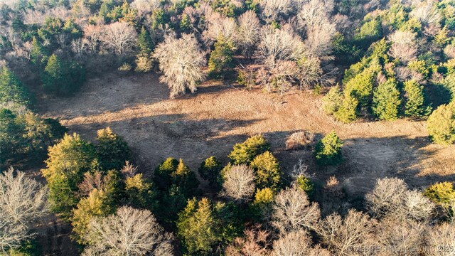 bird's eye view featuring a wooded view