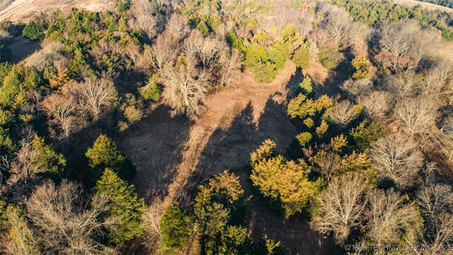 aerial view with a forest view