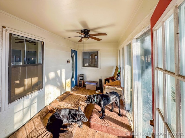 sunroom featuring a ceiling fan