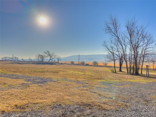 view of yard featuring a rural view