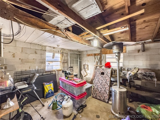 basement featuring concrete block wall