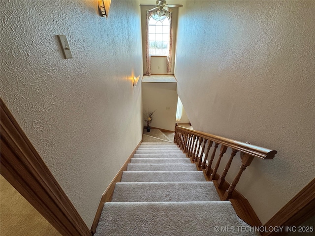 stairs with carpet and a textured wall