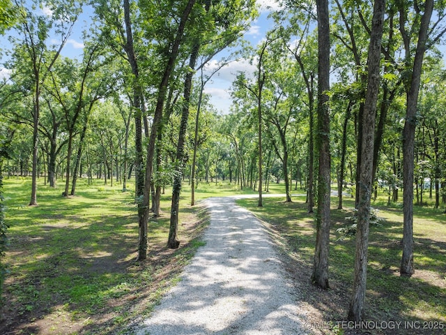 view of property's community featuring gravel driveway