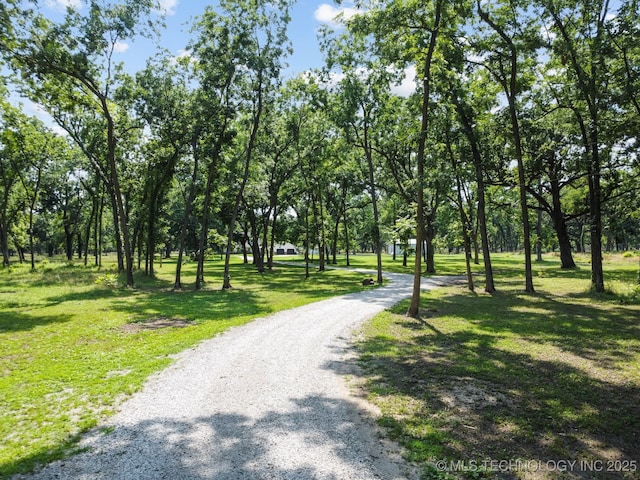 view of home's community with gravel driveway and a lawn