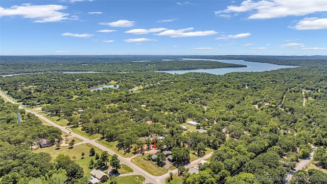 bird's eye view featuring a water view and a forest view