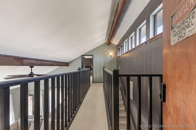 corridor with carpet flooring and lofted ceiling with beams