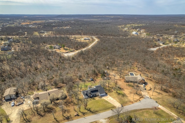 bird's eye view