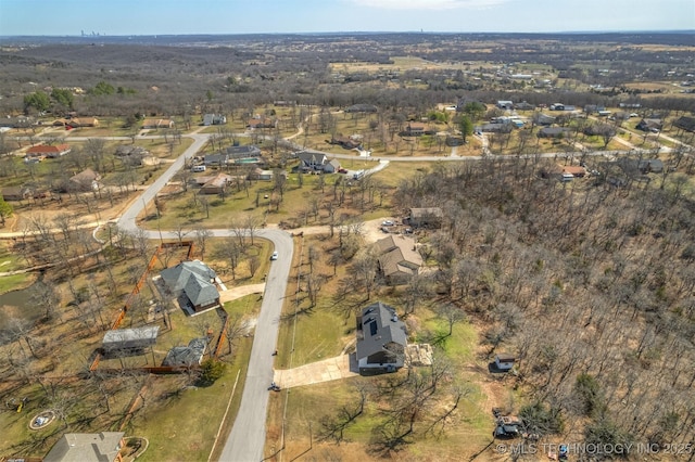 bird's eye view