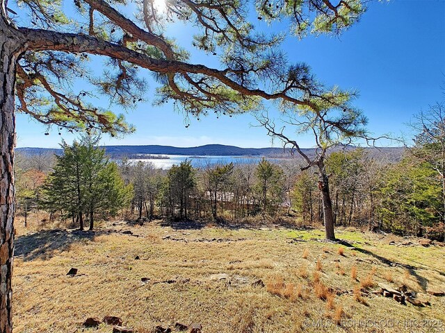 view of mountain feature featuring a water view and a forest view