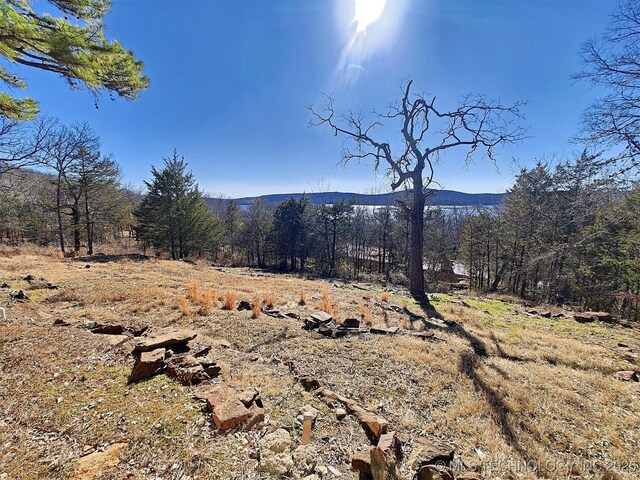 property view of mountains with a view of trees