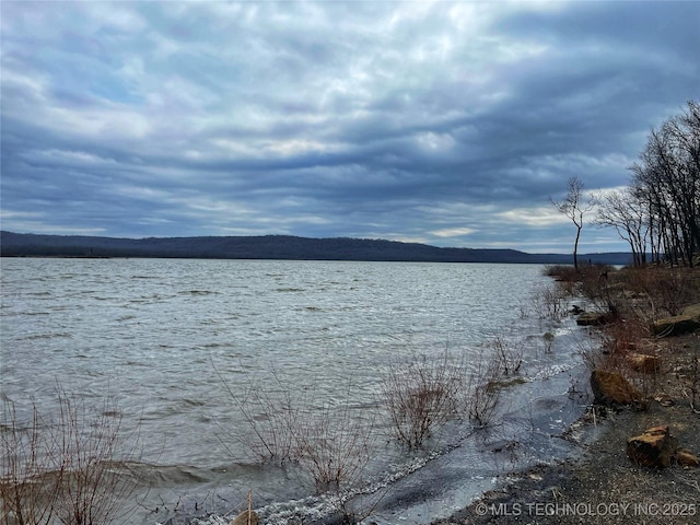 property view of water